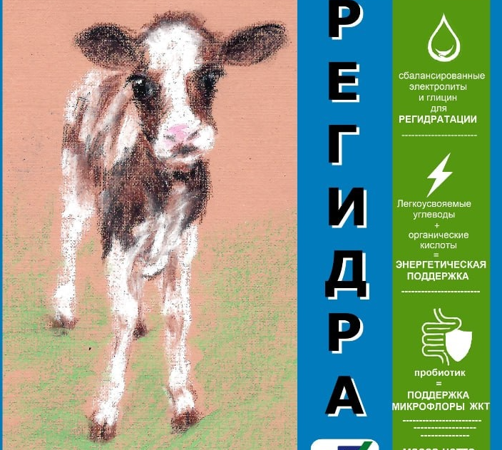 РЕГИДРА (телятам от поноса)